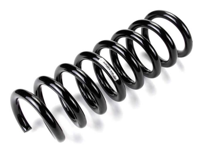 Mercedes Coil Spring - Front 2103212204